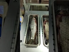 Live Fish  Modified Atmosphere Packing