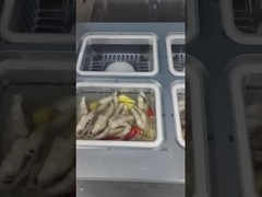 Chicken's Paw  Modified Atmosphere Packaging