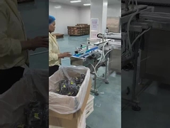 Preserved Fruit Modified Atmosphere Packaging