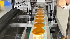 Sealerall LD801 Assembly line fully automatic Sealing Machine Siemens Configuration