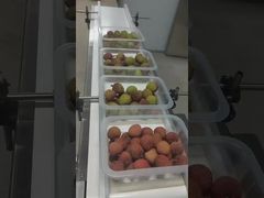Sealerall Modified Atmosphere Packaging Machine Packing Fresh Litch