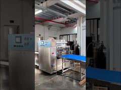 High-Capacity Modified Atmosphere Packaging Machine with Four Trays per Cycle and 1500–2000 Trays pe