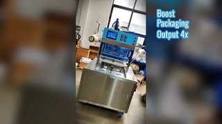 LD642 Vertical Extended Box Sealing Machine with One-out-four Sealing, Stainless Steel Construction 
